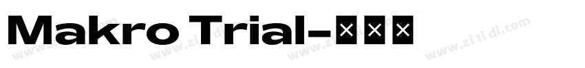 Makro Trial字体转换
